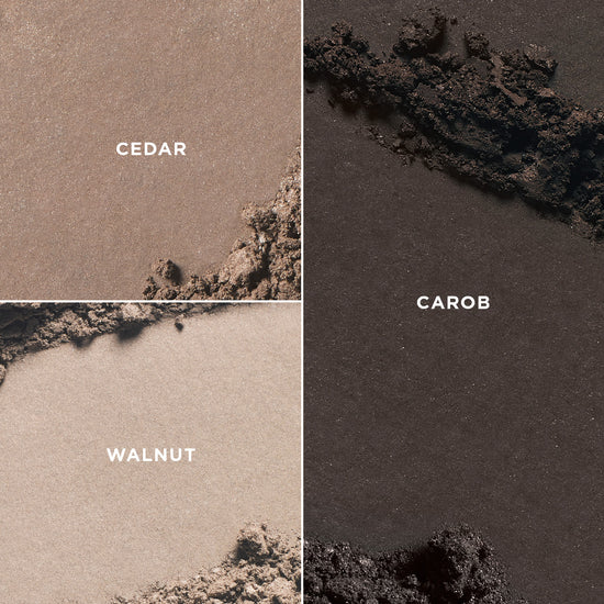 Brow Boss in shade Carob